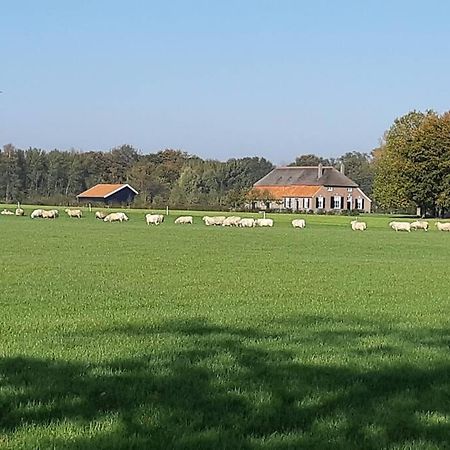 B&B Joostink In Vorden Dış mekan fotoğraf